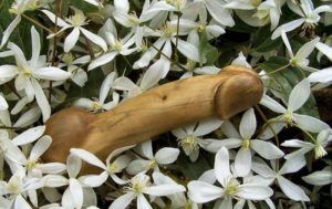 woodenPhallus