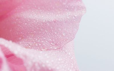 Hablemos de Lubricantes