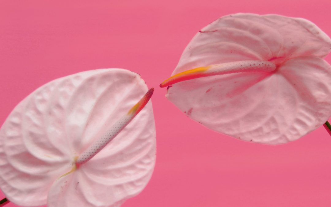 ¿Qué es una sexóloga? ¿Y la terapia sexual?