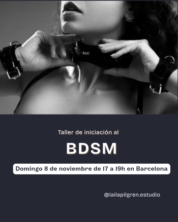 BDSM 8-11